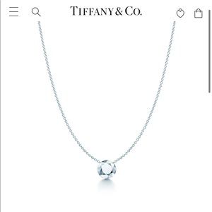 Tiffany & Co. Elsa Peretti Two Carat Pendant